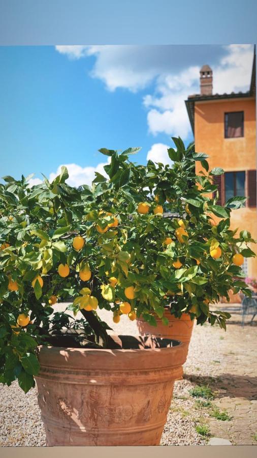 Fattoria Di Catignano Guest House San Giovanni  Ngoại thất bức ảnh