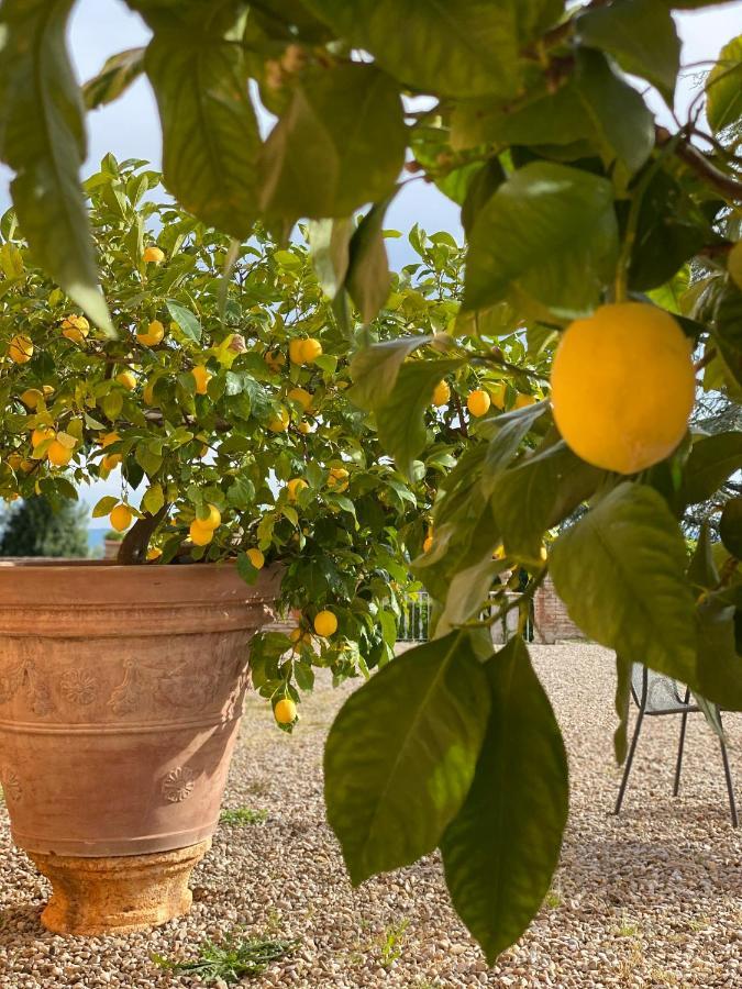 Fattoria Di Catignano Guest House San Giovanni  Ngoại thất bức ảnh