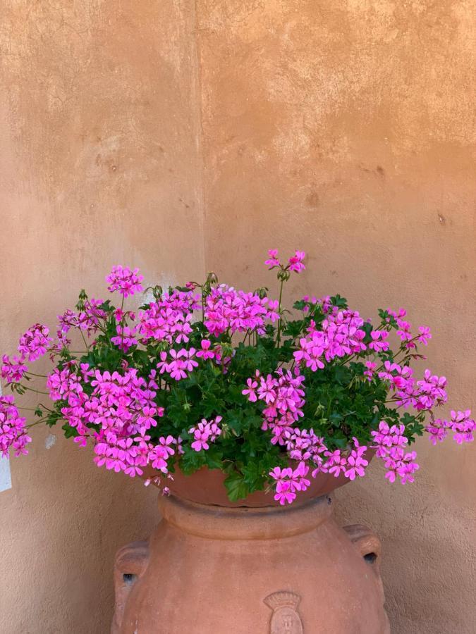 Fattoria Di Catignano Guest House San Giovanni  Ngoại thất bức ảnh